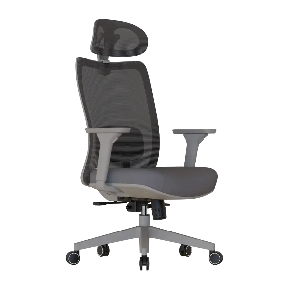Cadeira Ergonômica Elements Astra Pro